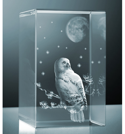 3D skleněný dárek | sova luxusní edice