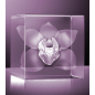 3D skleněný dárek | orchidej luxusní edice